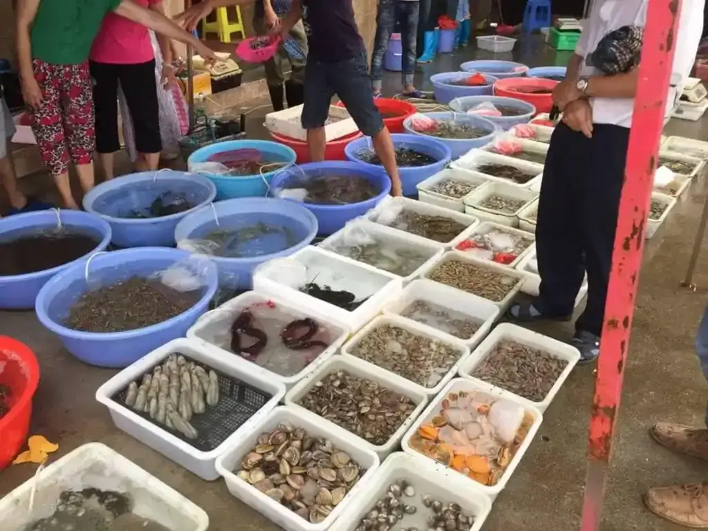 廣西北海 北部灣漁港